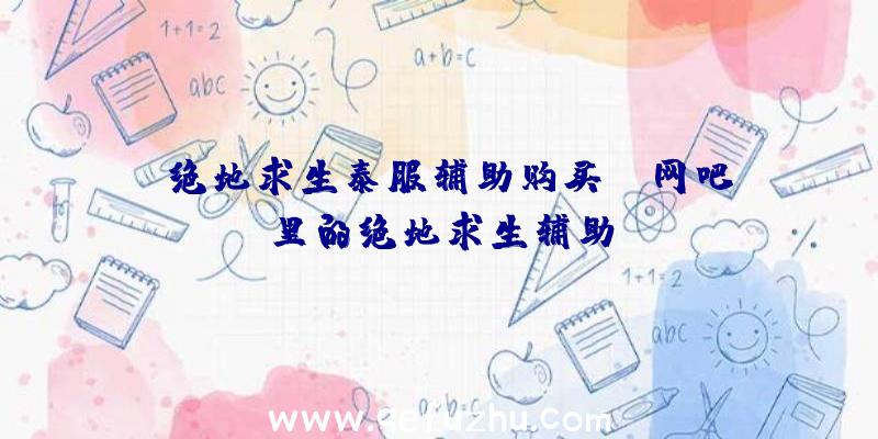 「绝地求生泰服辅助购买」|网吧里的绝地求生辅助